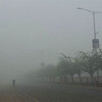 निर्लिङ्ग नवजात मानव !  (कथा)