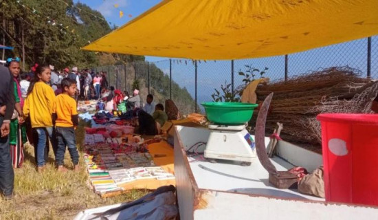 ‘सम्पत्तिमा सौताका सन्तानको हक लाग्ने’