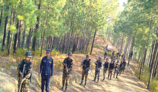 प्रतिनिधिसभा निर्वाचन : सल्यानमा सेना–प्रहरीको संयुक्त गस्ती