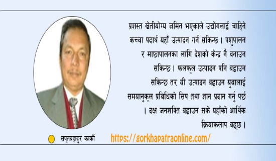 डिजिटल नेपालबारे गगन अवधारणा