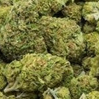 अमेरिकी व्यापार सम्झौताले भारतमाथि दबाब