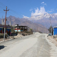 सर्जकलाई साहित्यकलाको सम्मान