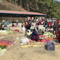 जनक शिक्षामा अझै ३३ लाख थान पाठ्यपुस्तक छपाई बाँकी