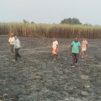 १०० वर्ष अघिको गोर्खापत्र