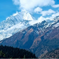 महेन्द्र राजमार्गको गोरुसिङे-बनगाई सडकखण्डको जङ्गलमा शङ्कास्पद वस्तु फेला