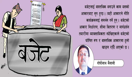 बजेटको वास्तविक आकार