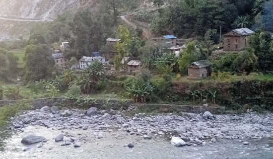 उम्मेदवारको पर्खाइमा ओलेनावासी