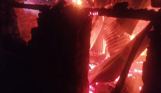 उच्च पहाडी तथा हिमाली भागमा हल्का वर्षा र हिमपात हुने