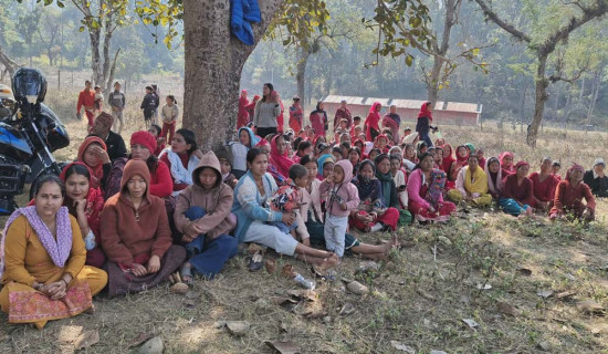 निर्वाचनको प्रभाव  : मतदाता घर फर्किंदा सबैतिर चहलपहल