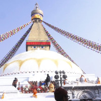 जलपन्छीको प्रजाति र सङ्ख्या घट्दो