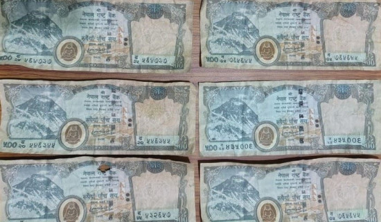 क्युरेक्सको ‘इन्क्लेभ ओडी’ औषधी बजारबाट फिर्ता लैजान निर्देशक