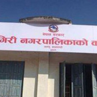 कञ्चनजङ्घा संरक्षण क्षेत्रमा चौँरी र याकको बीमा