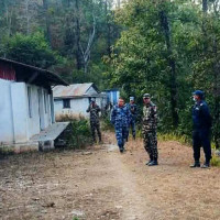 कञ्चनजङ्घा संरक्षण क्षेत्रमा चौँरी र याकको बीमा