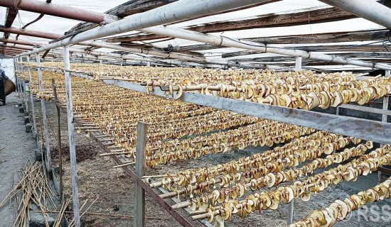 तीन महिनापछि बल्यो सामागाउँमा बिजुली