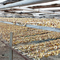 लामो पुलले बढायो बागलुङमा पर्यटक