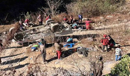 पछिल्लो दुई हप्तामा चोरी अपराधका ५० मुद्दा दर्ता