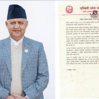 भिड देखाउन एआई दुरुपयोग