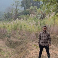 हतार र जोखिममा डुङ्गाको यात्रा