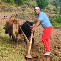 कांग्रेसको गाउँफर्क अभियान