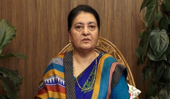 प्रजातन्त्र दिवसले नयाँ उत्साह र प्रेरणा प्रदान गरोस् : पूर्व राष्ट्रपति भण्डारी