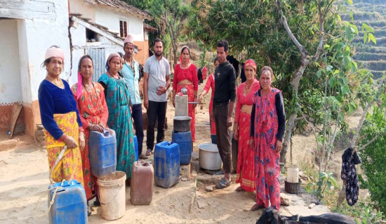 विदेशको कमाइ कृषिमा लगानी,कोभिडले बनायो कृषक