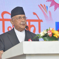 गणतन्त्रसम्मको यात्राको जननी फागुन ७ को क्रान्ति होः सभापति थापा