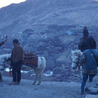 नर्सिङ सङ्घको अध्यक्ष पदमा तीन जनाको उम्मेदवारी