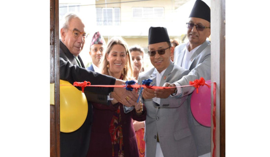 नर्सिङ क्षेत्रको समस्या, स्वदेशमा अध्ययन विदेशमा सेवा