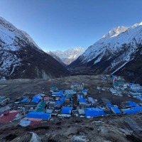 निर्वाचन लक्षित वन गस्ती तीव्र, संयुक्त टोली परिचालन