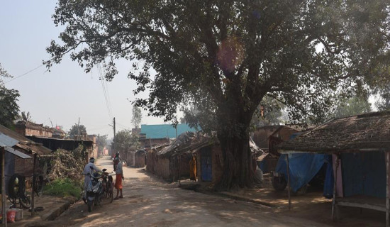 फागुनसम्मलाई टर्‍यो राहदानी अभाव