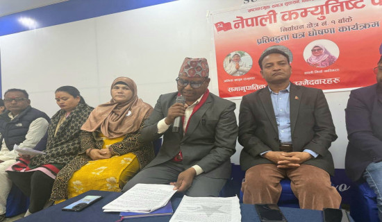 अशान्त विश्व, शान्तिको प्रयास