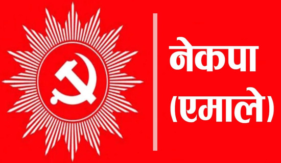 बढ्यो सार्वजनिक विद्युतीय सवारीप्रति आकर्षण