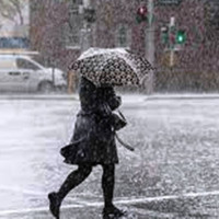 यातायात प्राधिकरण निष्प्रभावी