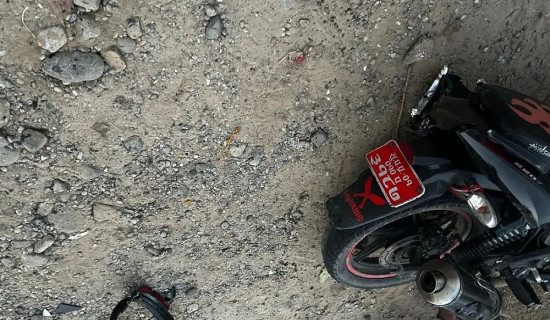 त्रिवि क्रिकेट मैदानमा भीडमा च्यापिँदा दुई प्रहरीसहित सात घाइते