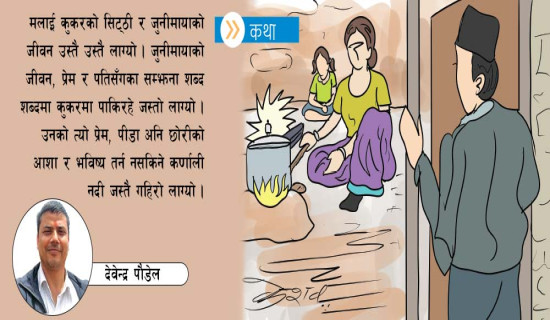 प्रेसर कुकर  [कथा]