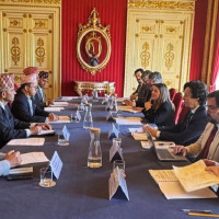 गाउँ पसेको बाघ नियन्त्रणमा