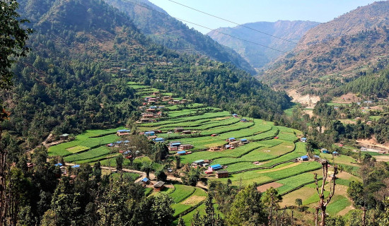 धनकुटामा मतदान केन्द्र महिला कर्मचारीद्वारा सञ्चालन हुने