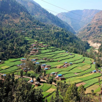 तस्बिरमा कार्टुन कला प्रदर्शनी