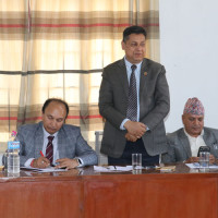 थाइल्यान्डको पार्कमा भाइरसका कारण दर्जनौँ बाघको मृत्यु