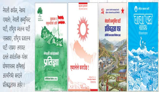 चाडपर्वमा बढी दुर्घटना