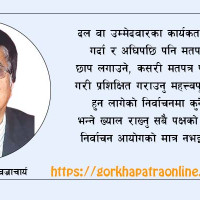 मतदाता फकाउने फरक शैली