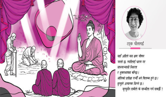 हरेक चुनावमा दोहोरिने मुद्दा : निकुञ्ज ऐन संशोधनको बहस