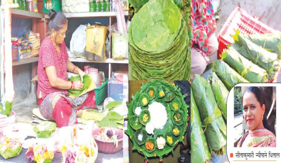 त्रिवि सुधारको योजना : पाठ्यक्रम परिमार्जन पहिलो प्राथमिकता