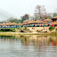 त्रिवि सुधारको योजना : पाठ्यक्रम परिमार्जन पहिलो प्राथमिकता