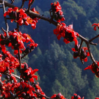 अधिकार र दायरा विस्तार आवश्यक