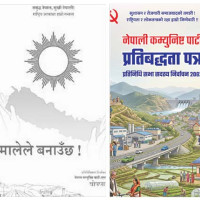 सिट बाँडफाँड पाँच दलीय गठबन्धनको केन्द्रीय संयन्त्रले गर्ने