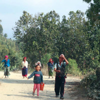 दार्चुलाबाट दुई हजार क्विन्टल हिमाली जडीबुटी बाहिरियो