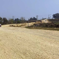 दार्चुलाबाट दुई हजार क्विन्टल हिमाली जडीबुटी बाहिरियो