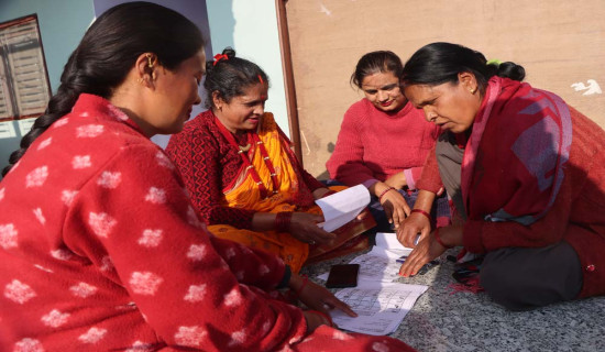 मतदाता शिक्षा घरदैलोमै