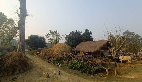 पुनर्स्थापना गर्नेलाई भोट